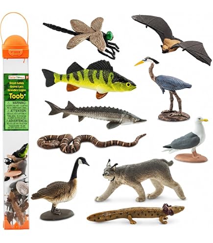 Amazon.com: Safari Ltd. Great Lakes TOOB - Figurines of Mudpuppy